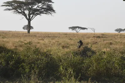 DSC_3791 (Large).JPG